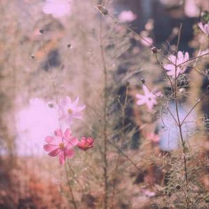 دانلود آهنگ گلپا قصر خدا